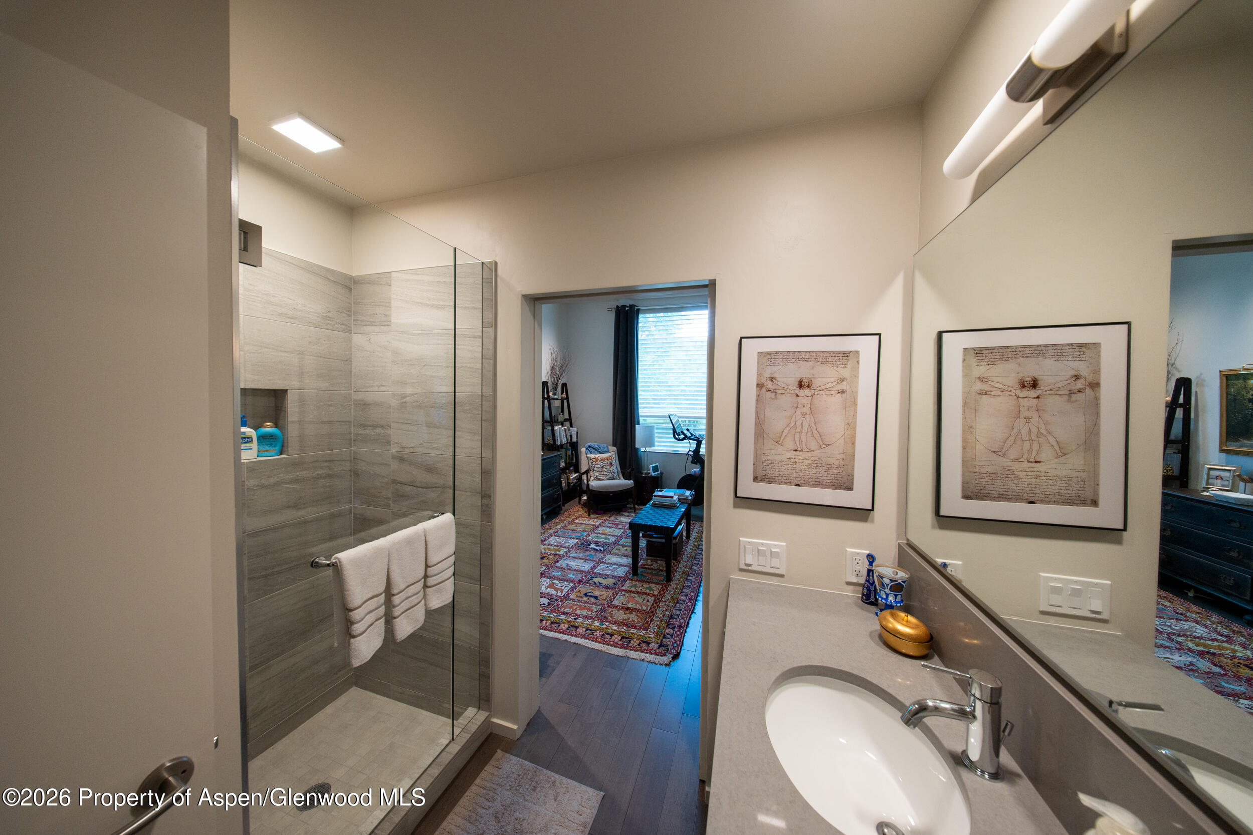 102 Evans Road, Unit 101 Basalt, CO 81621 - Photo 12 of 15 guest bathroom 2