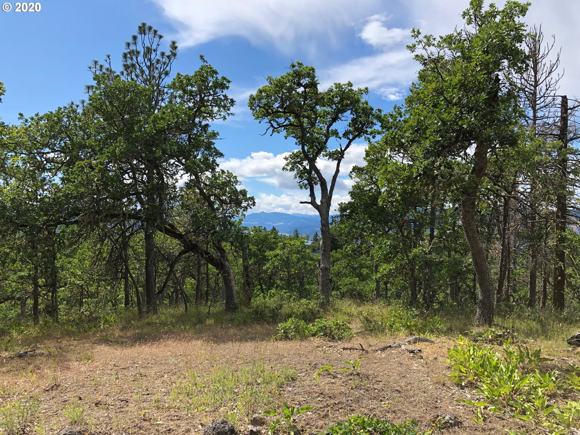 Fir Crest Road Mosier, OR 97040 - Photo 5 of 10 Gallery Image 5