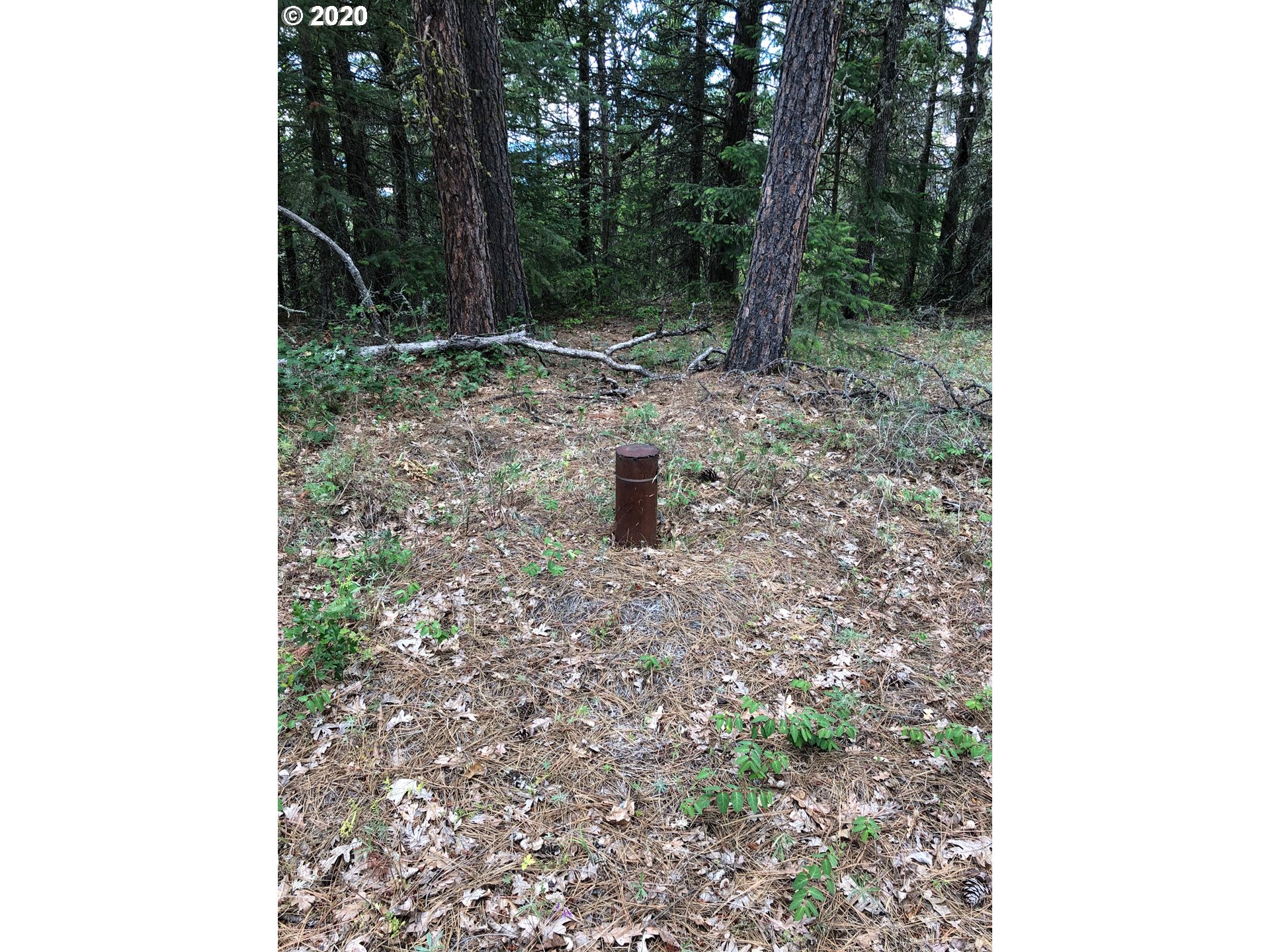 Fir Crest Road Mosier, OR 97040 - Photo 7 of 10 Gallery Image 7