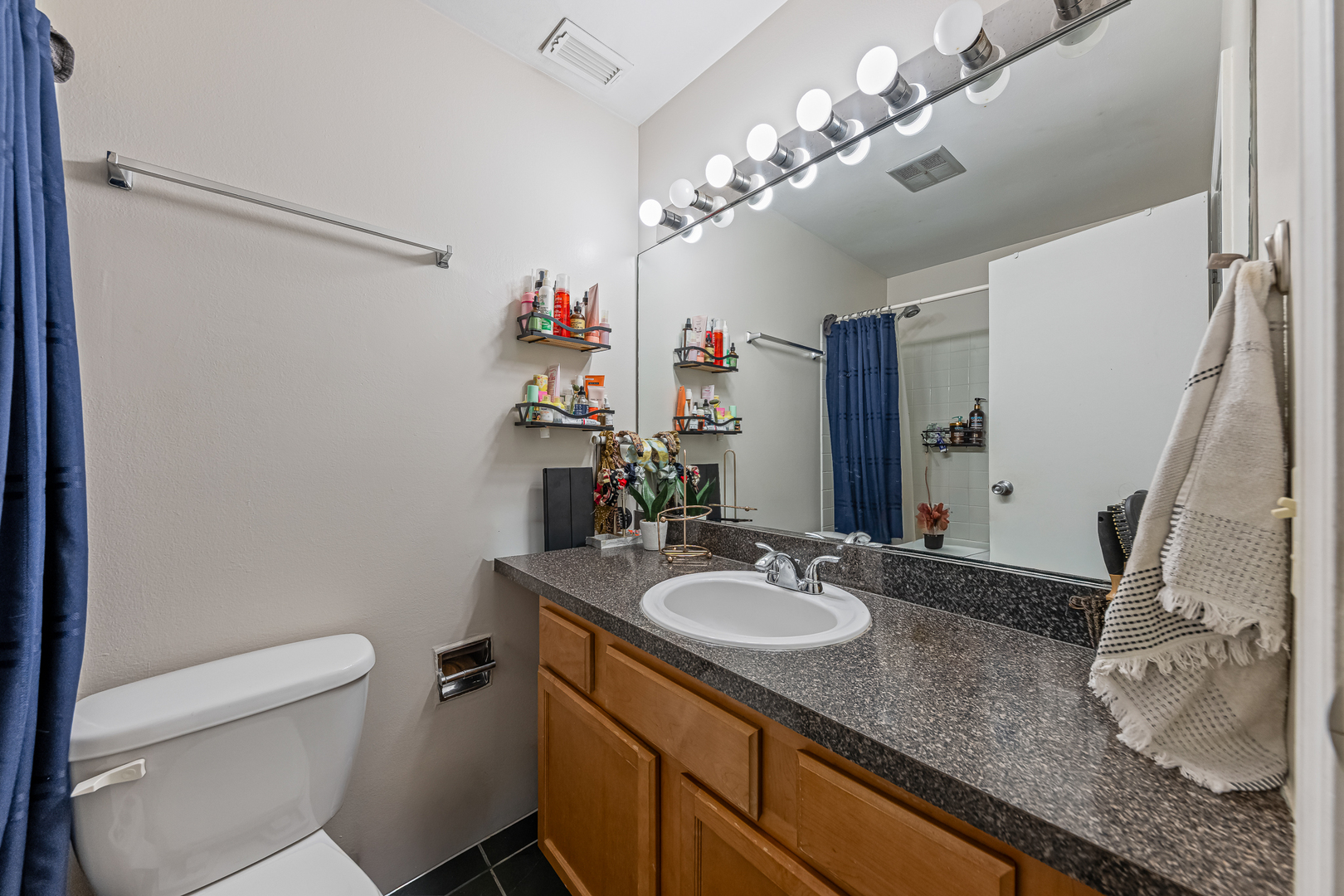 6015 Forest View Road, Unit 2A Lisle, IL 60532 - Photo 9 of 12 a bathroom with a granite countertop sink a toilet and a mirror