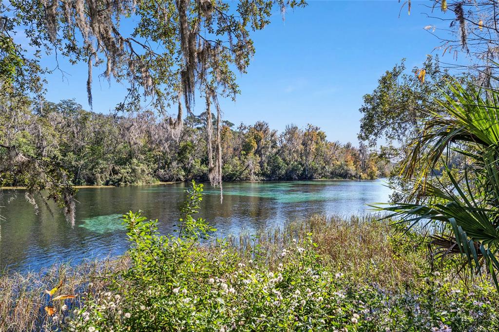 21010 Southwest 102nd Street Road Dunnellon, FL 34431 - Photo 43 of 47 a view of a lake in between two large trees