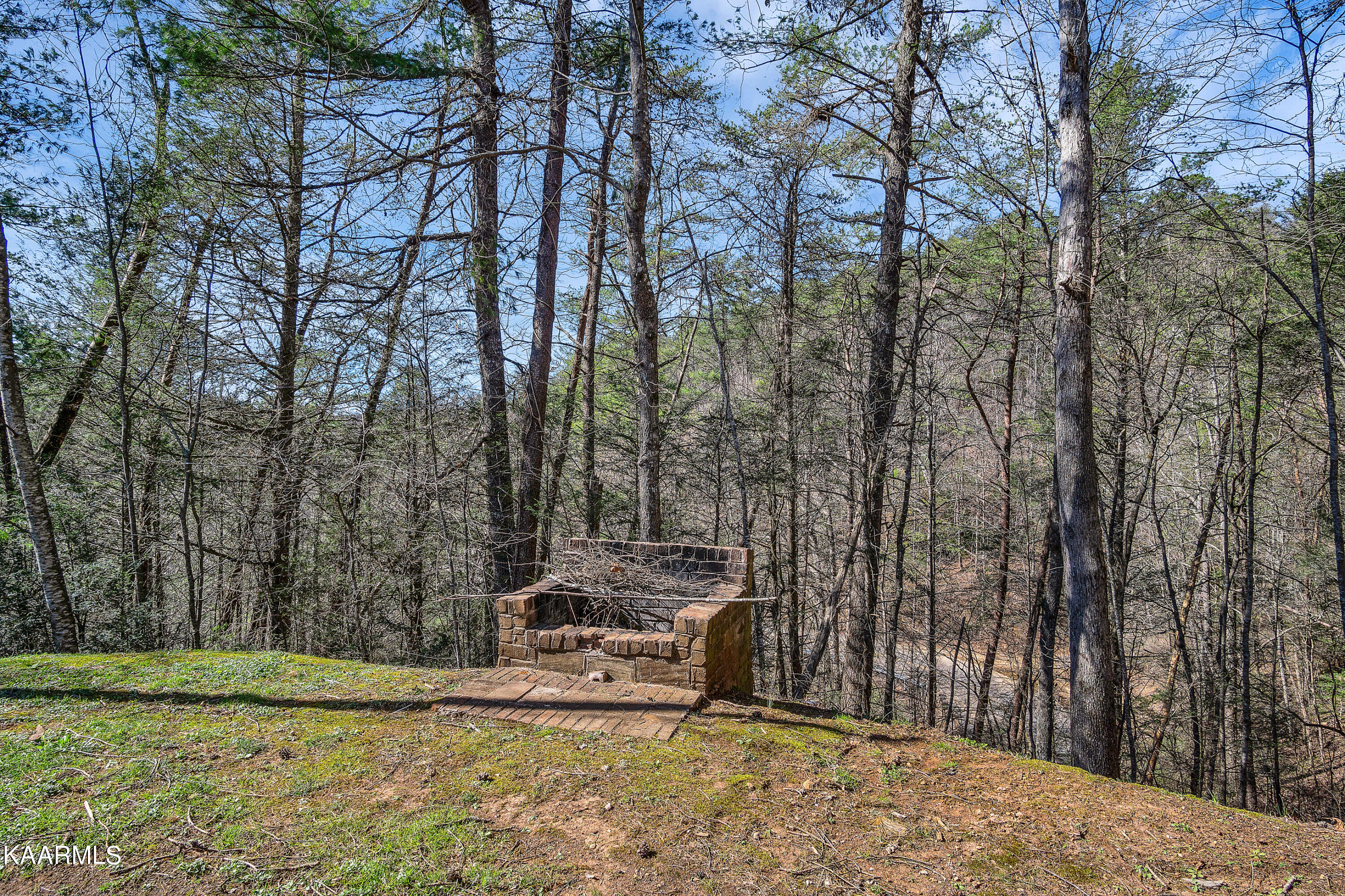 4929 Henry Town Road Sevierville, TN 37876 - Photo 29 of 30 DSC03353