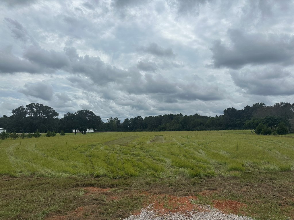 Lot 1 Hadden Road Dothan, AL 36301 - Photo 2 of 8