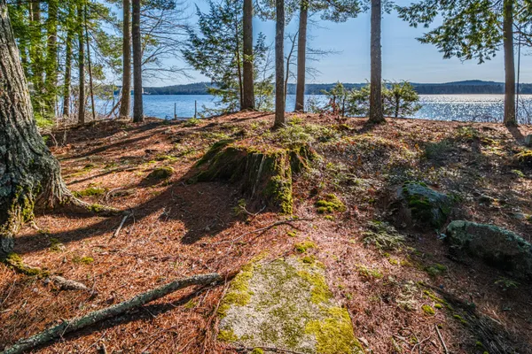 $3,395,000 | 148 Meadowbrook Lane, Naples, ME 04055