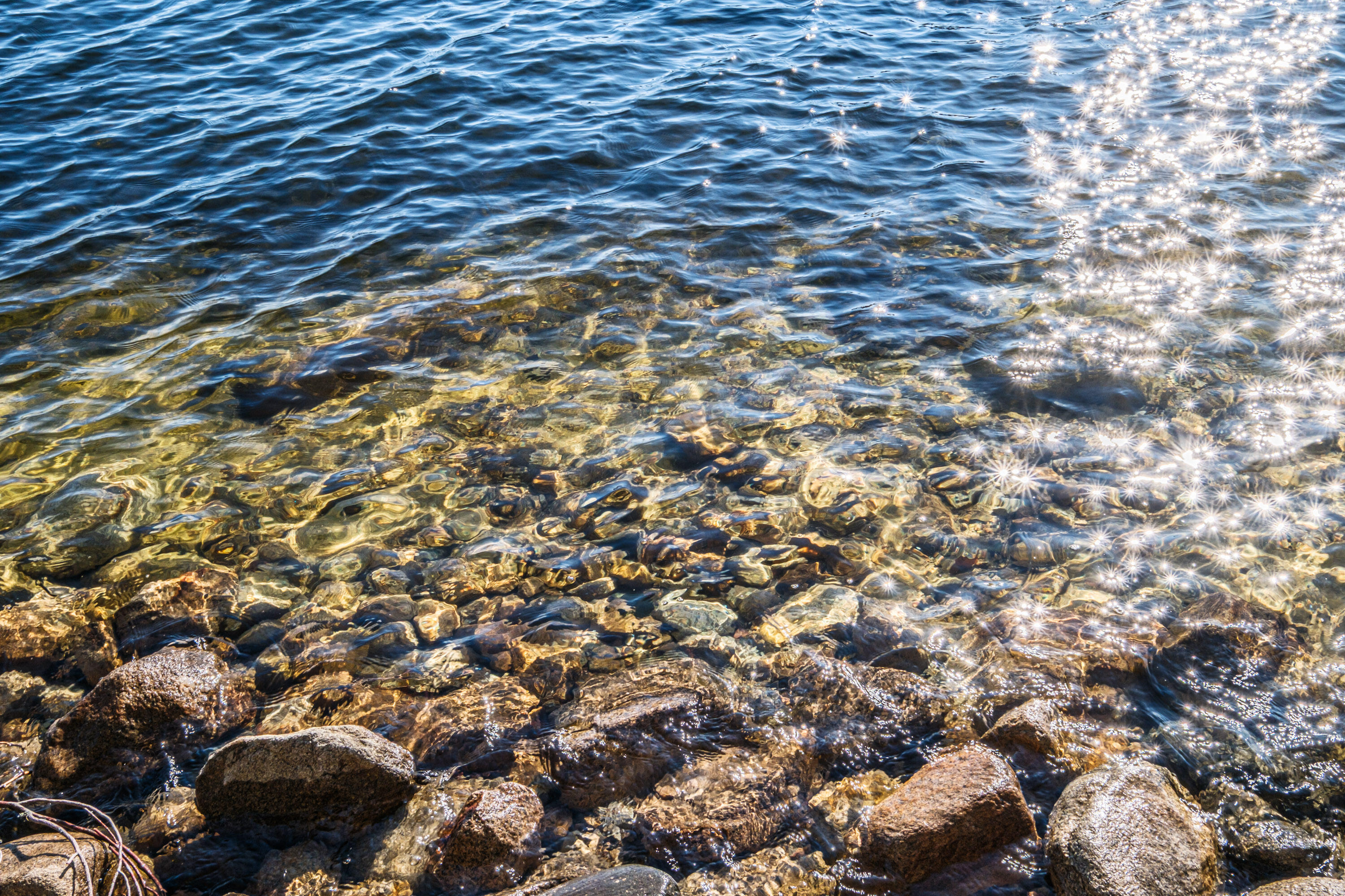 148 Meadowbrook Lane Naples, ME 04055 - Photo 167 of 198 20260408gp-62195