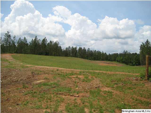 331 County Road, Unit B Columbiana, AL 35051 - Photo 3 of 8