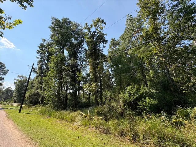 $150,000 | Tbd Payne Road, Conroe, TX 77302