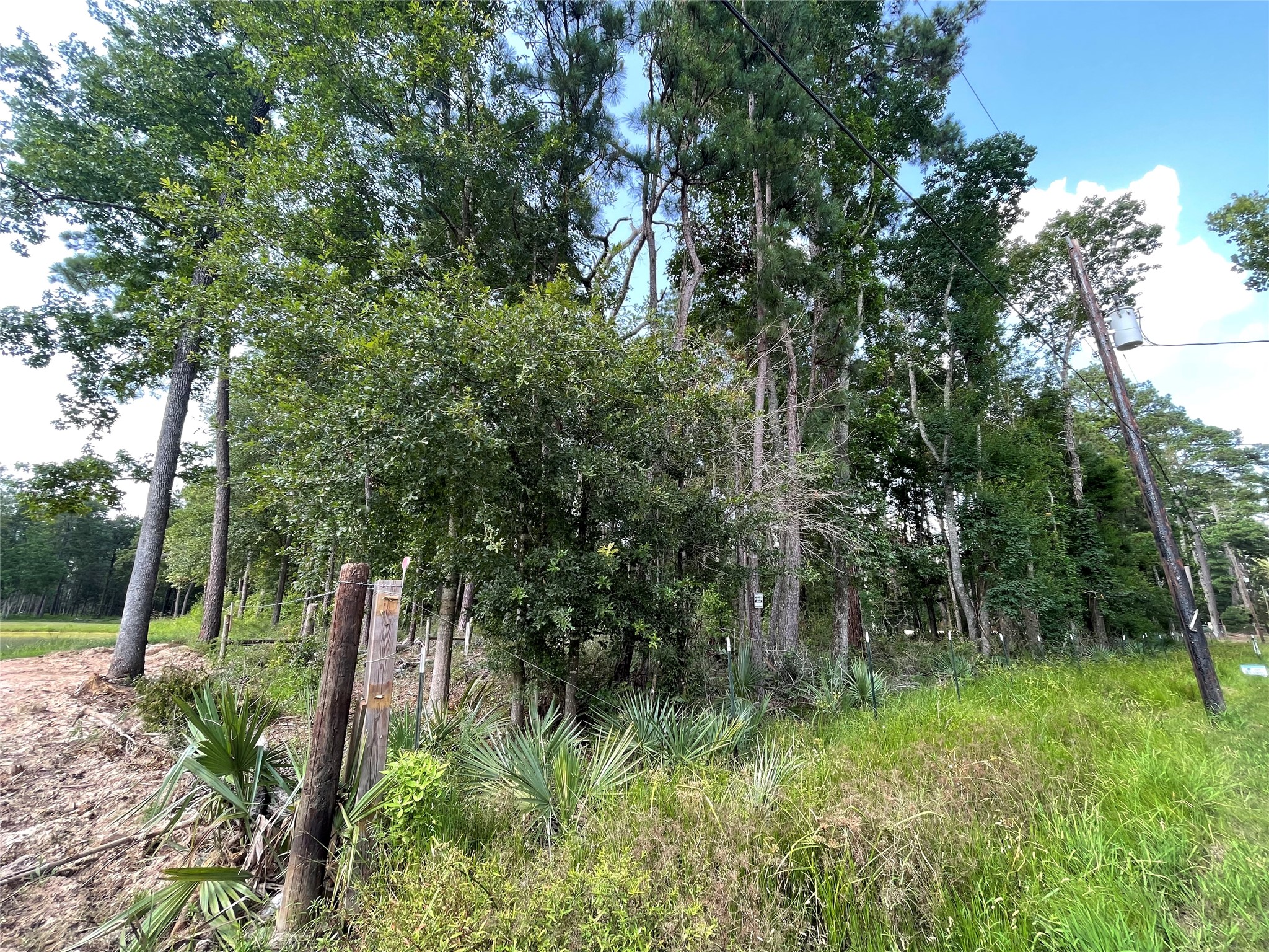 Tbd Payne Road Conroe, TX 77302 - Photo 16 of 18