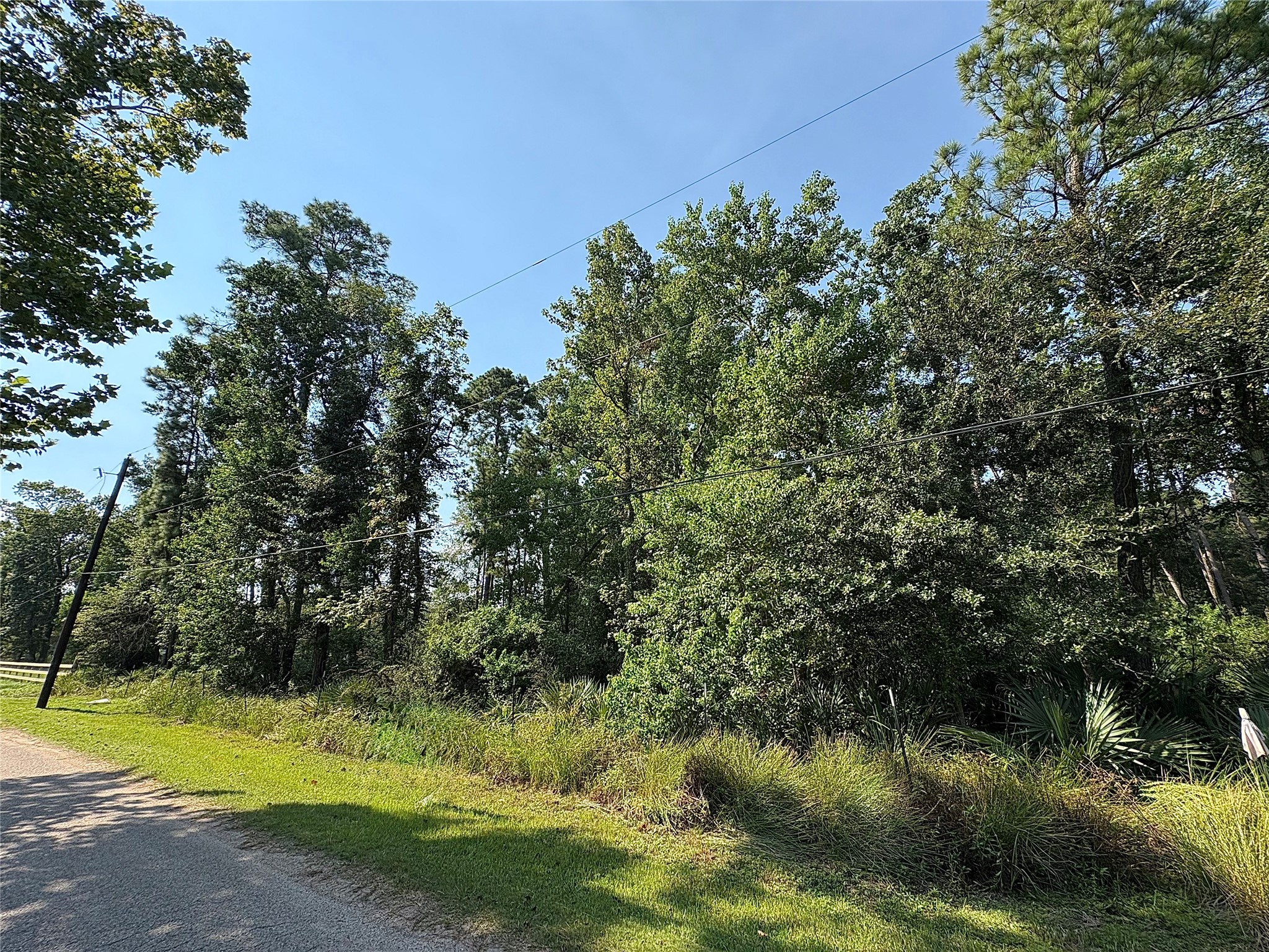 Tbd Payne Road Conroe, TX 77302 - Photo 18 of 18