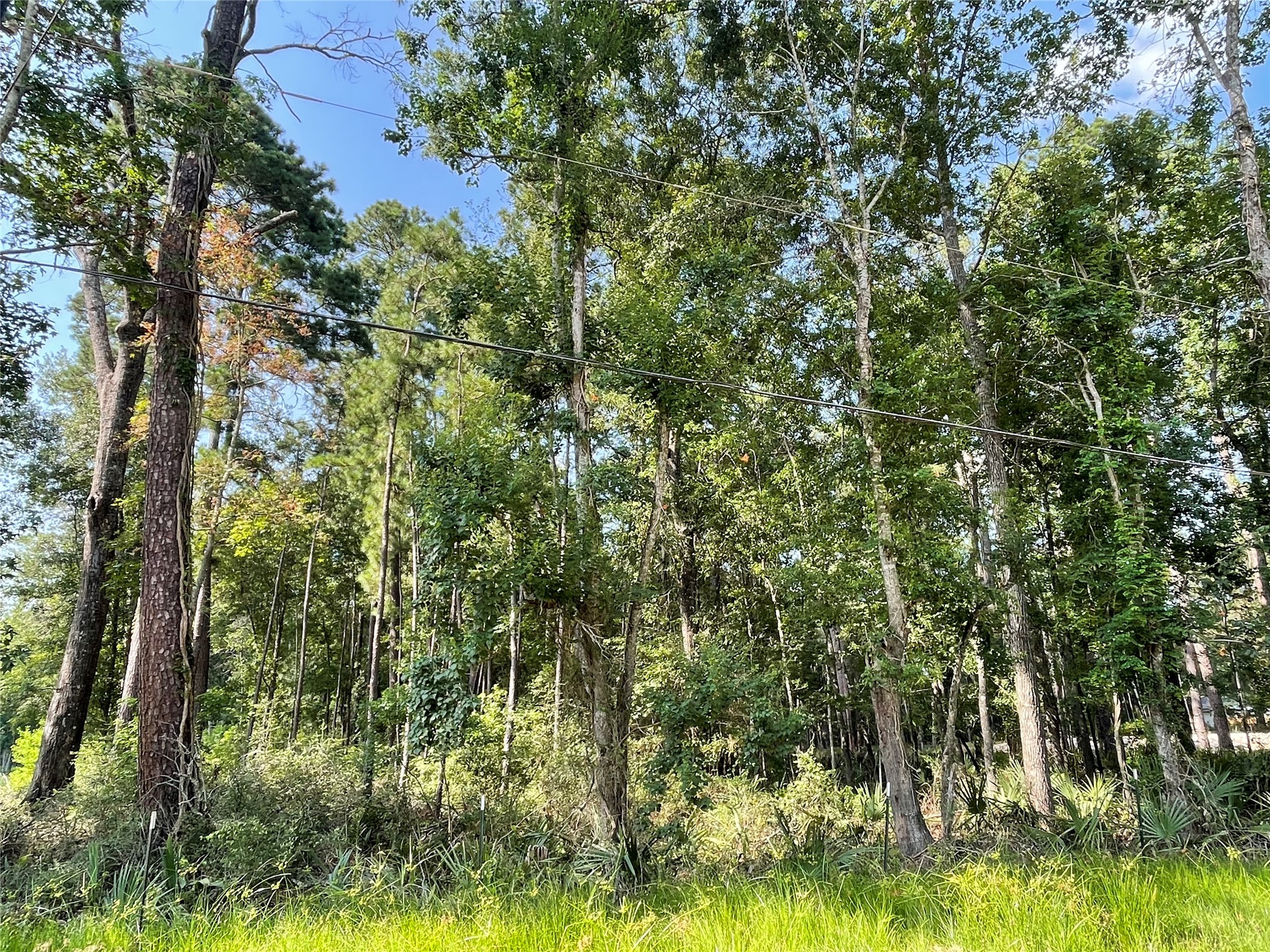 Tbd Payne Road Conroe, TX 77302 - Photo 4 of 18