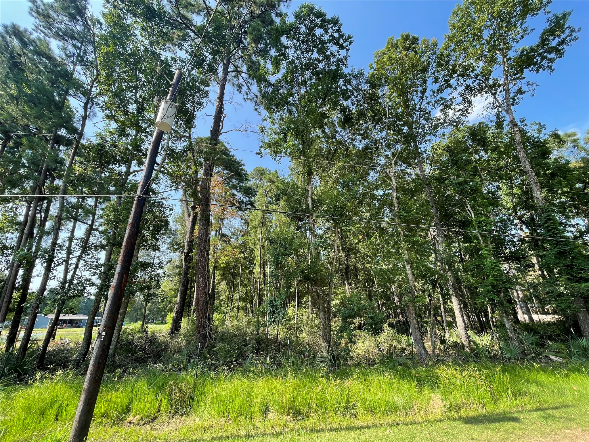 Tbd Payne Road Conroe, TX 77302 - Photo 6 of 18