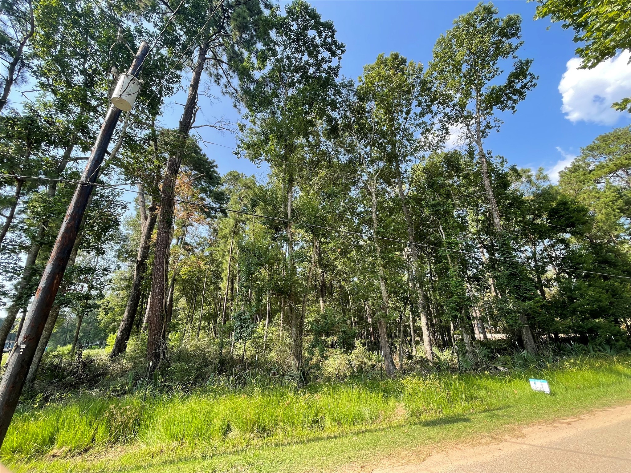 Tbd Payne Road Conroe, TX 77302 - Photo 7 of 18
