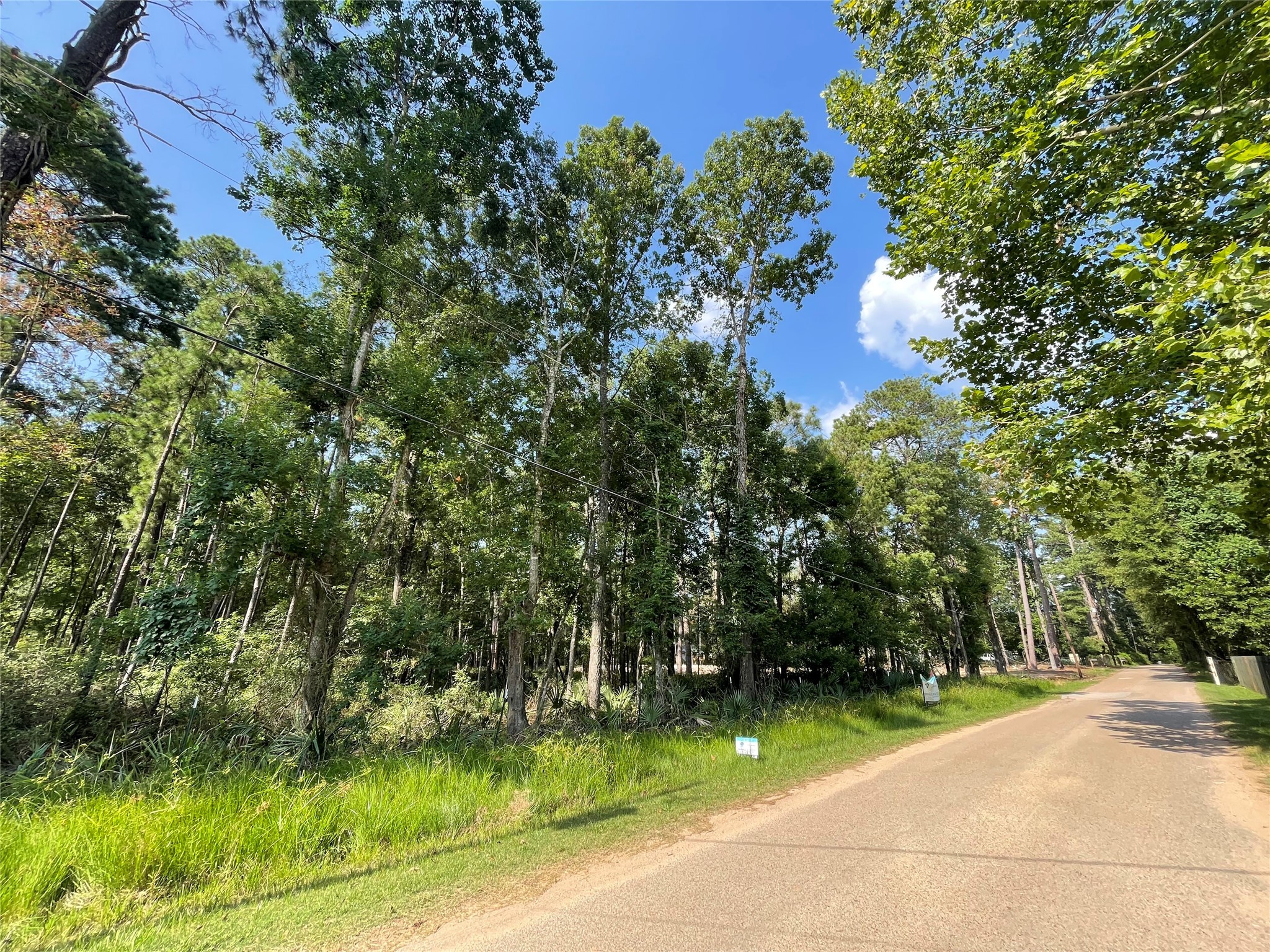 Tbd Payne Road Conroe, TX 77302 - Photo 8 of 18