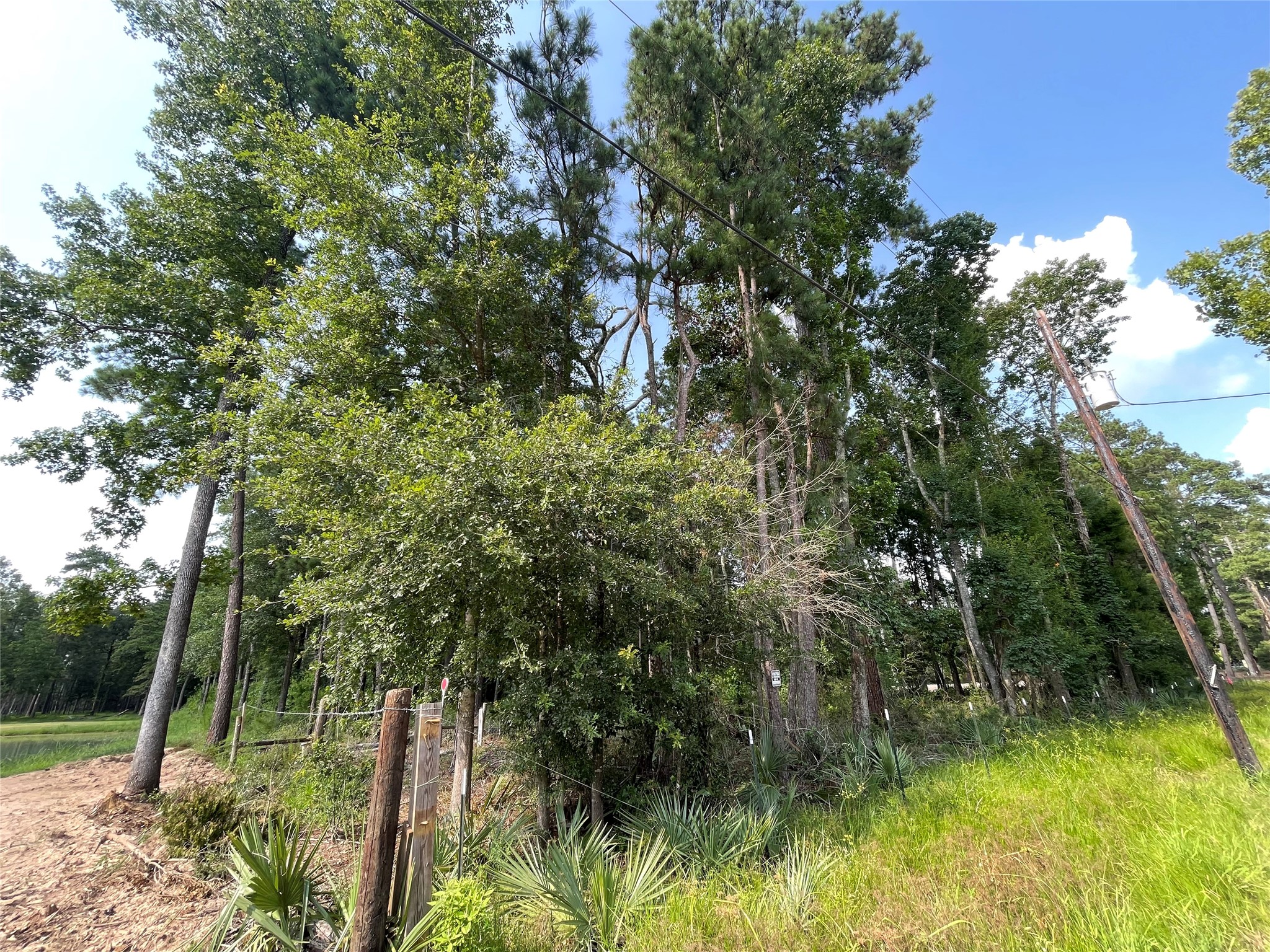 Tbd Payne Road Conroe, TX 77302 - Photo 9 of 18