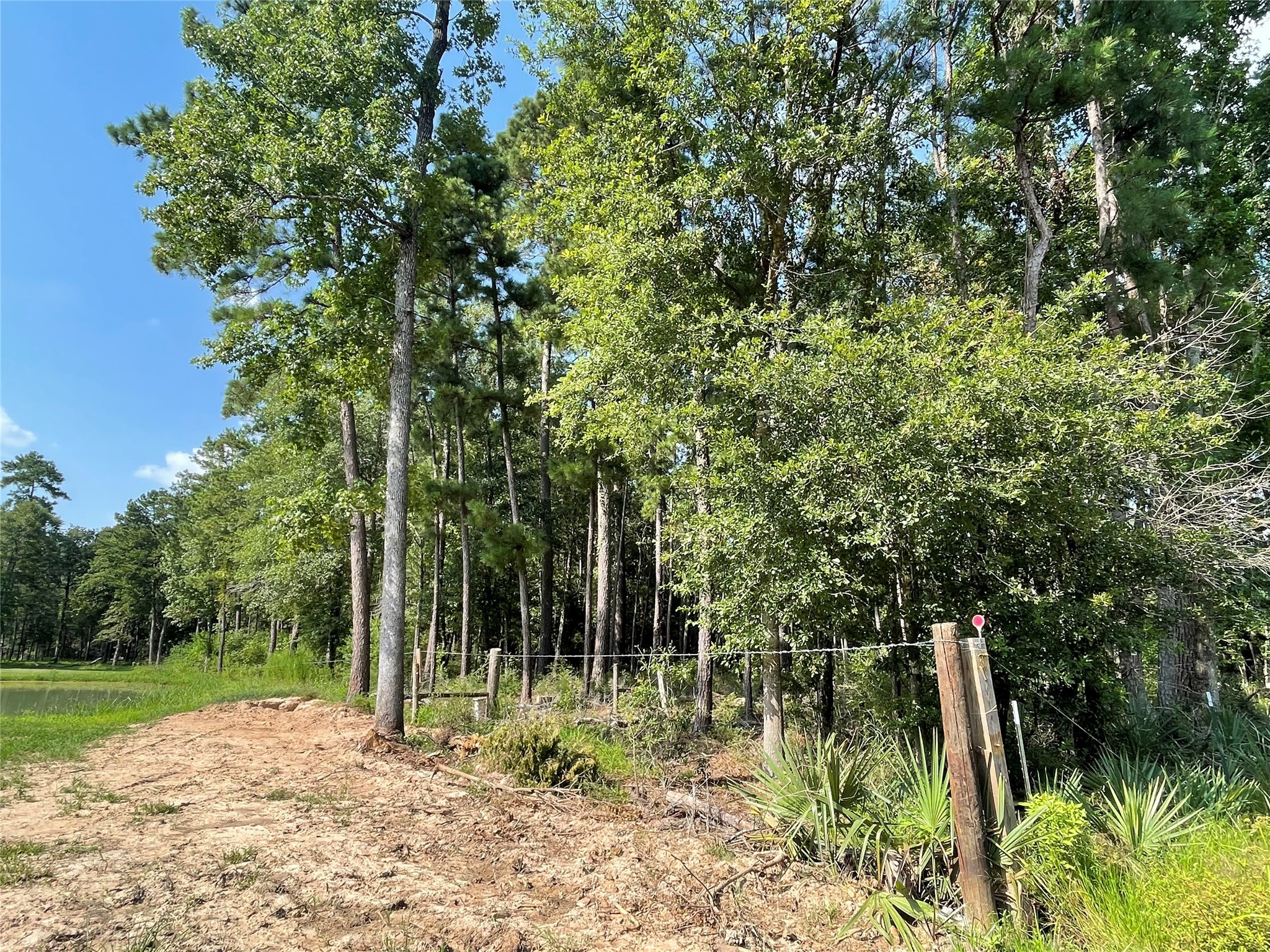 Tbd Payne Road Conroe, TX 77302 - Photo 10 of 18