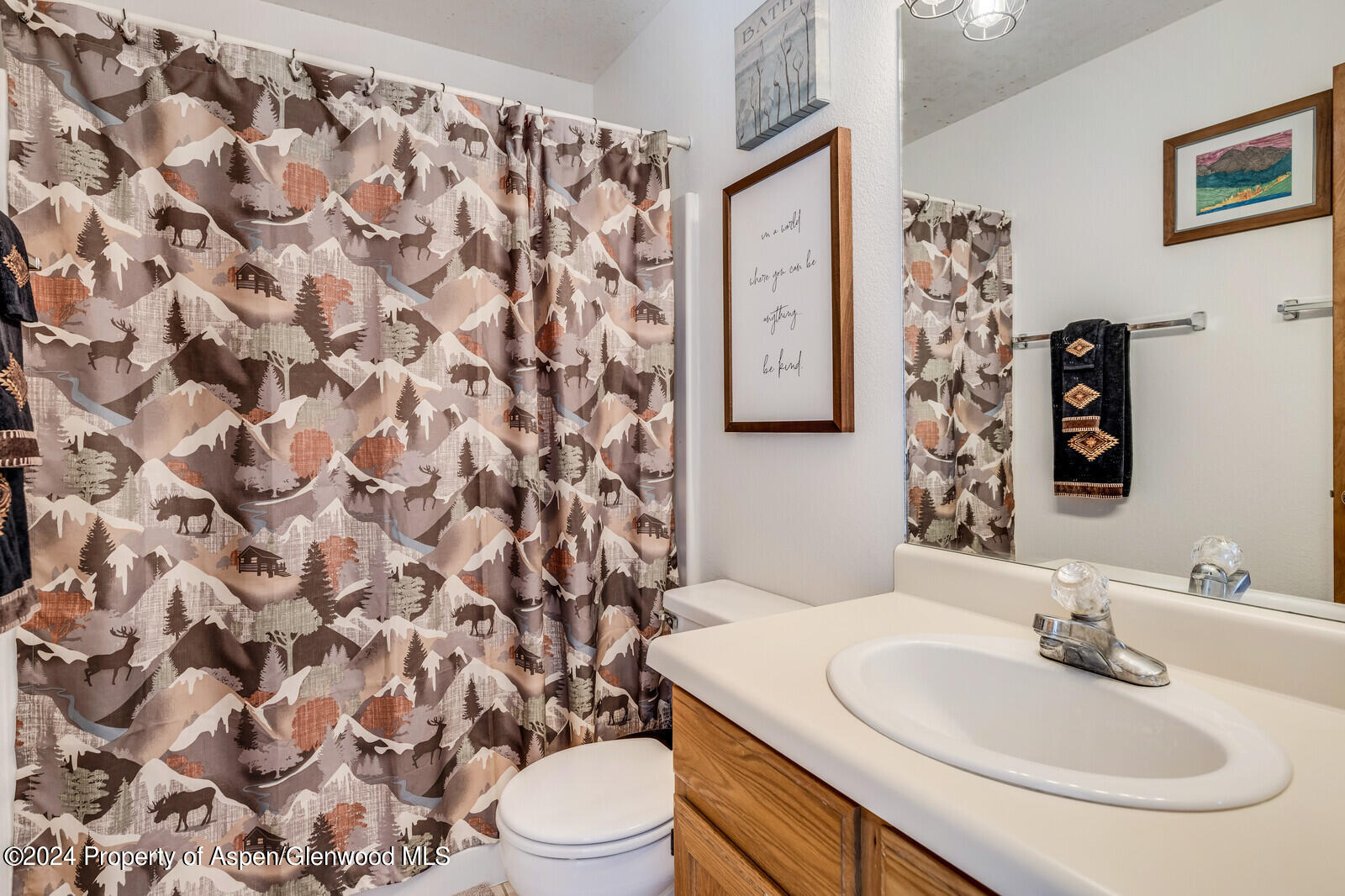 176 Rabbit Road Carbondale, CO 81623 - Photo 28 of 29 a bathroom with a sink toilet and shower