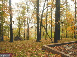 1231 North Ridge Road Perkasie, PA 18944 - Photo 2 of 6 a view of yard