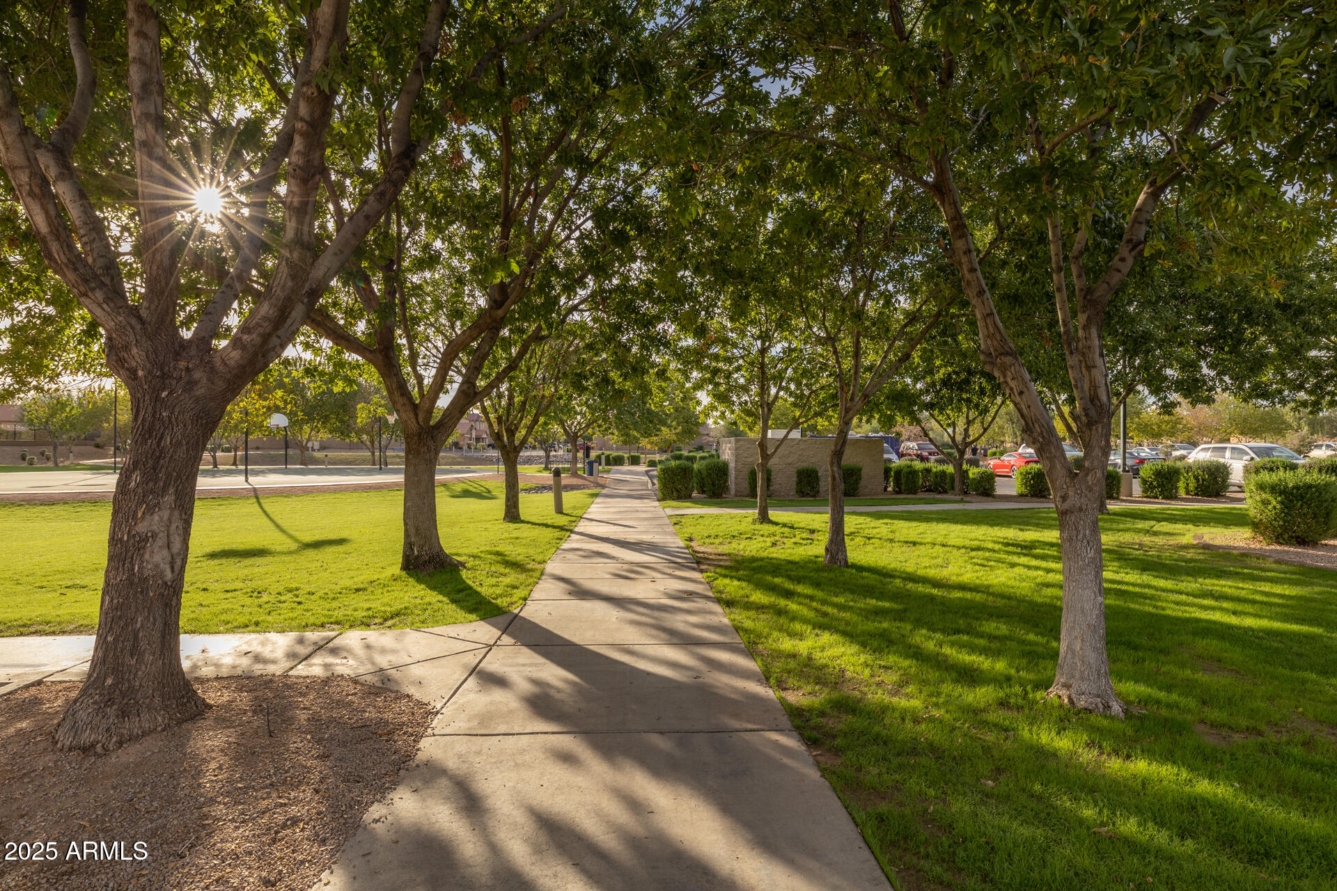 28305 North Desert Native Street San Tan Valley, AZ 85143 - Photo 72 of 81 a view of yard with swimming pool and trees