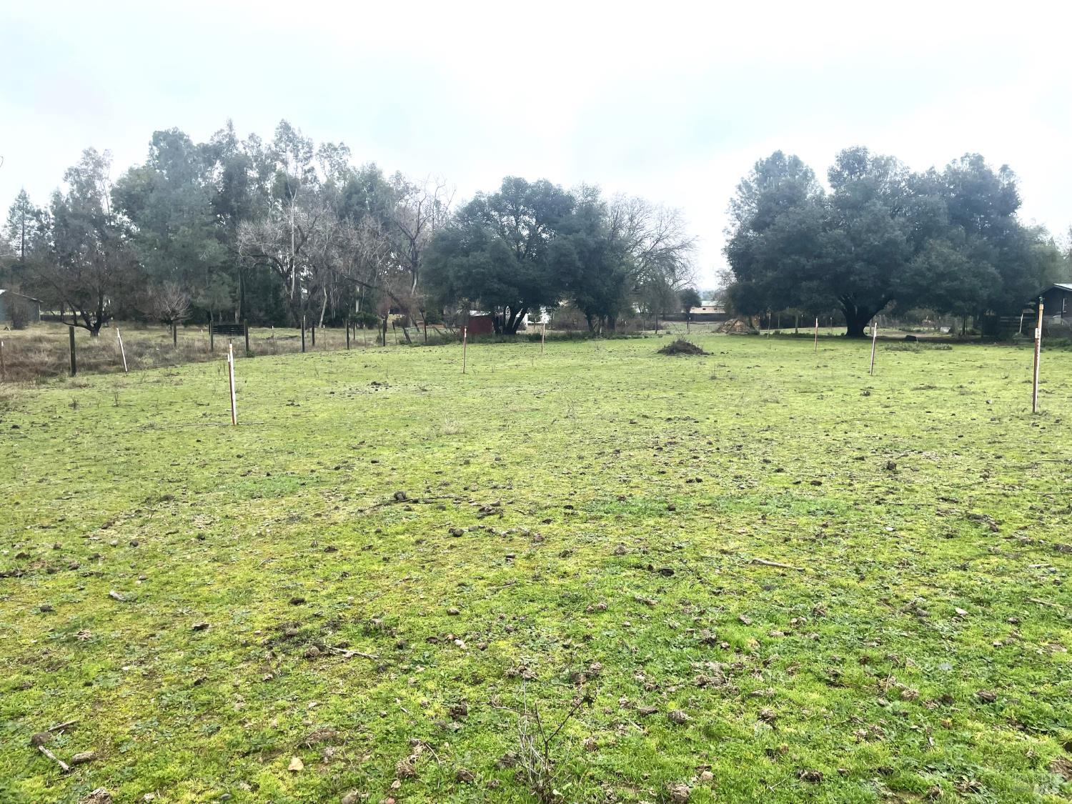 2865 Bell Hill Road Kelseyville, CA 95451 - Photo 28 of 43 Pasture