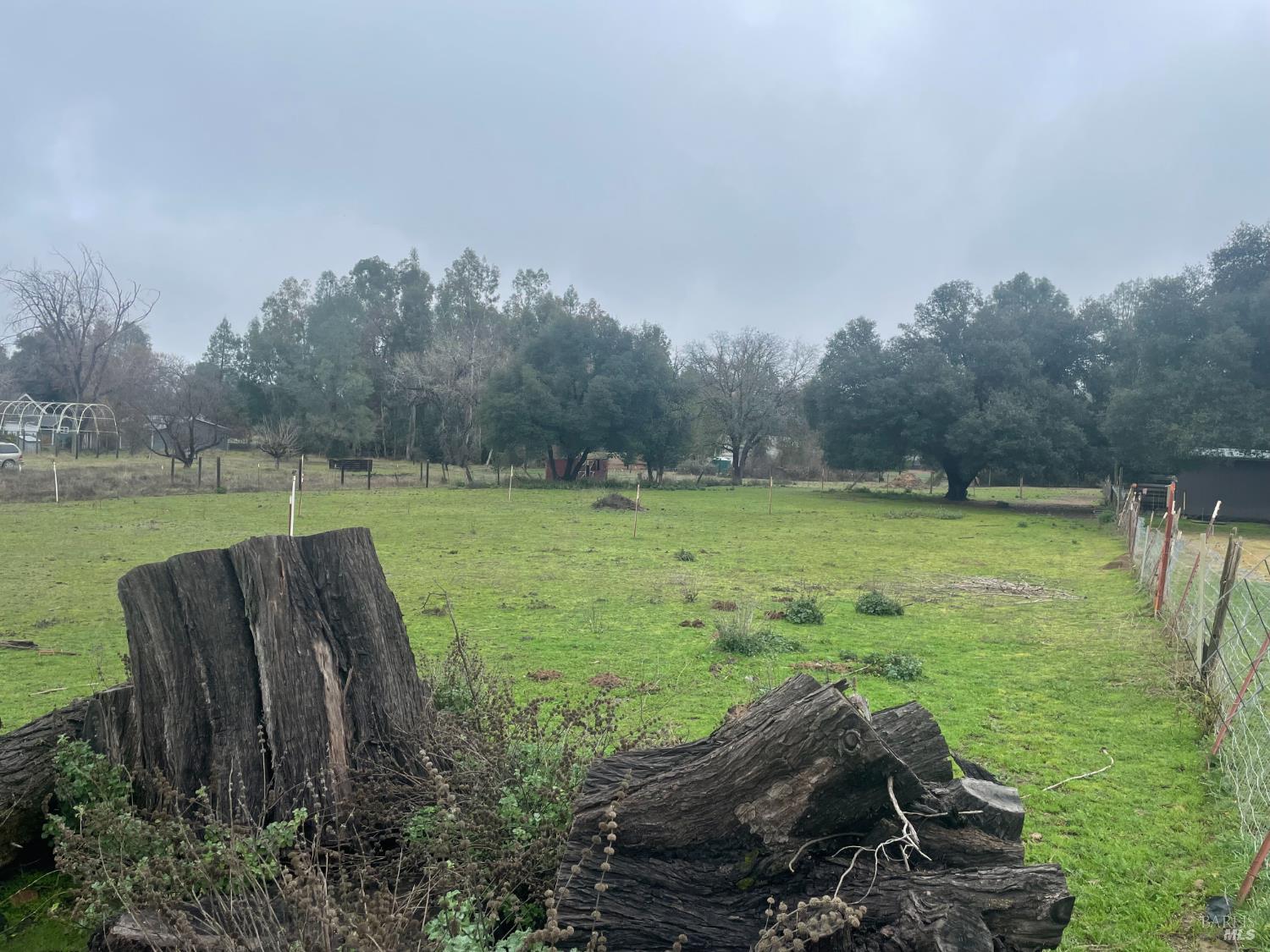 2865 Bell Hill Road Kelseyville, CA 95451 - Photo 29 of 43 Pasture (Southwest corner of property)