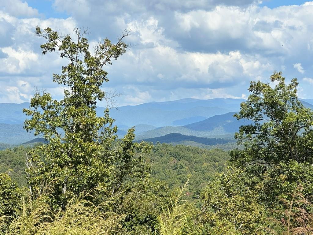 Lot 64 Lake Wood Road Murphy, NC 28906 - Photo 1 of 10 Main View