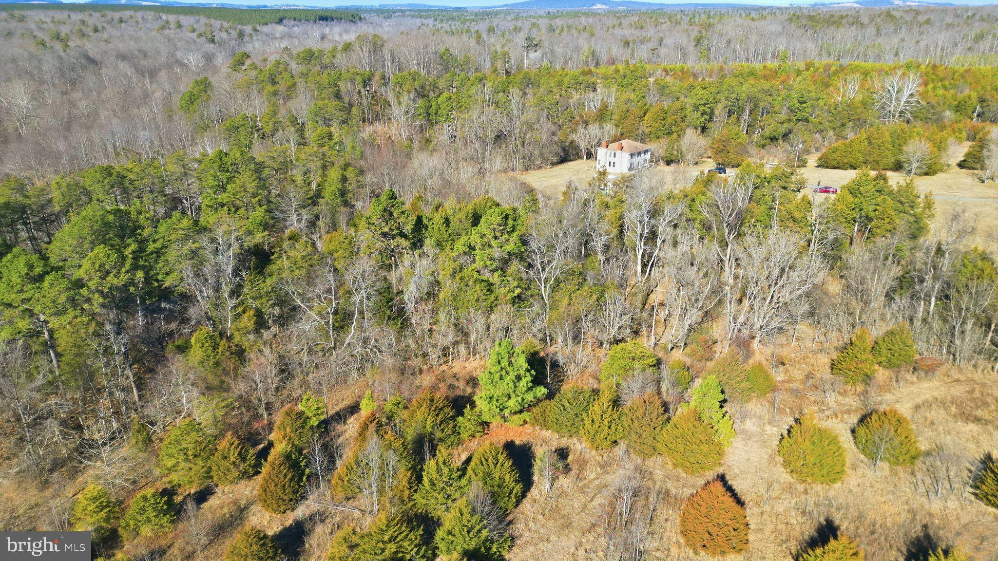 15284 Poplar Road Orange, VA 22960 - Photo 16 of 69