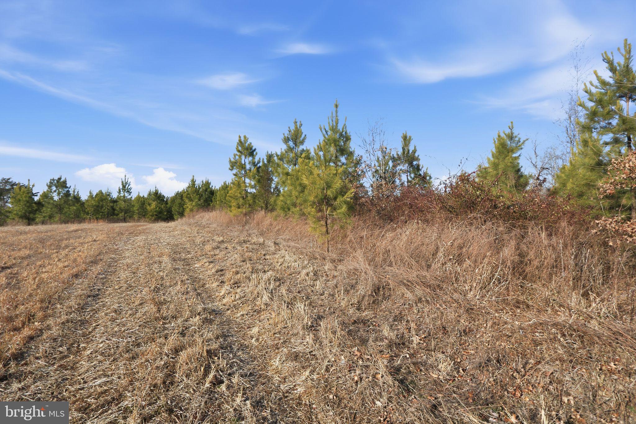 15284 Poplar Road Orange, VA 22960 - Photo 20 of 69