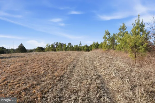 a view of a field with trees in background