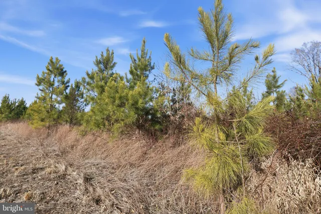 $1,500,000 | 15284 Poplar Road, Orange, VA 22960