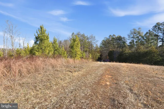 $1,500,000 | 15284 Poplar Road, Orange, VA 22960