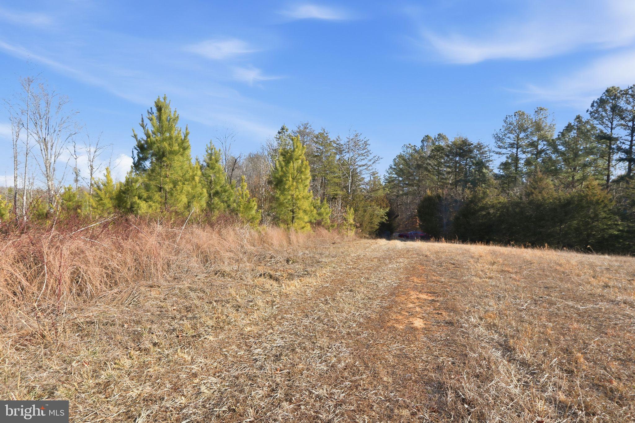 15284 Poplar Road Orange, VA 22960 - Photo 27 of 69