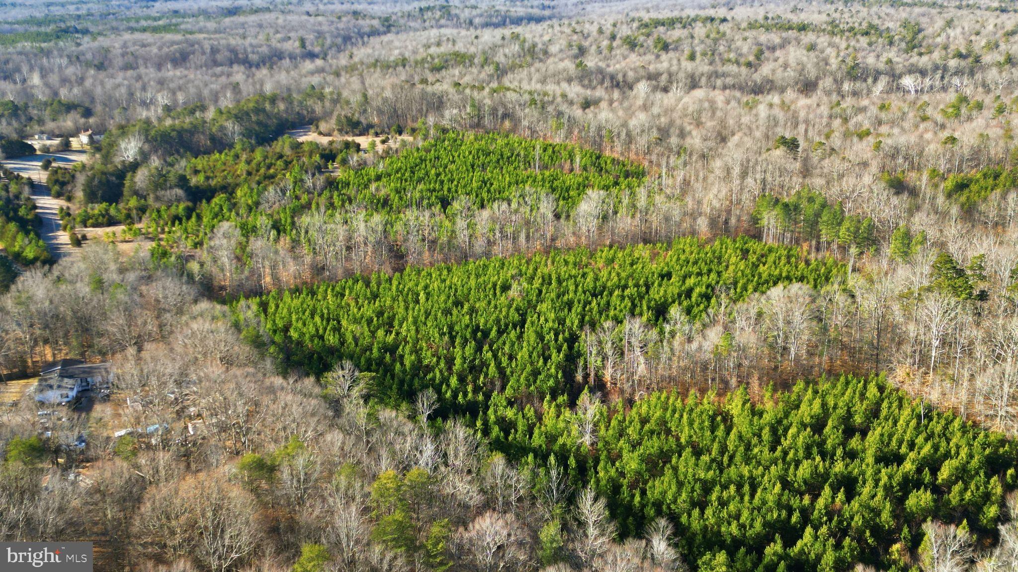 15284 Poplar Road Orange, VA 22960 - Photo 3 of 69