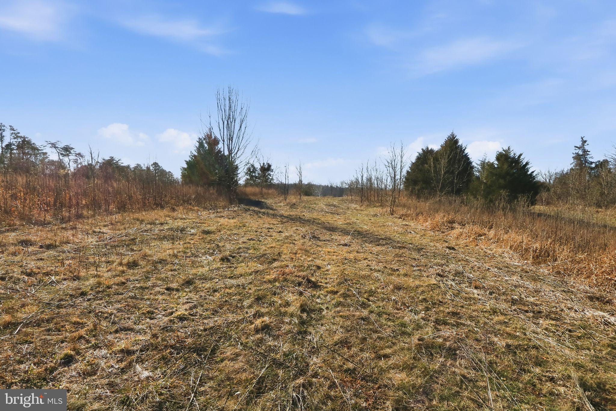 15284 Poplar Road Orange, VA 22960 - Photo 32 of 69