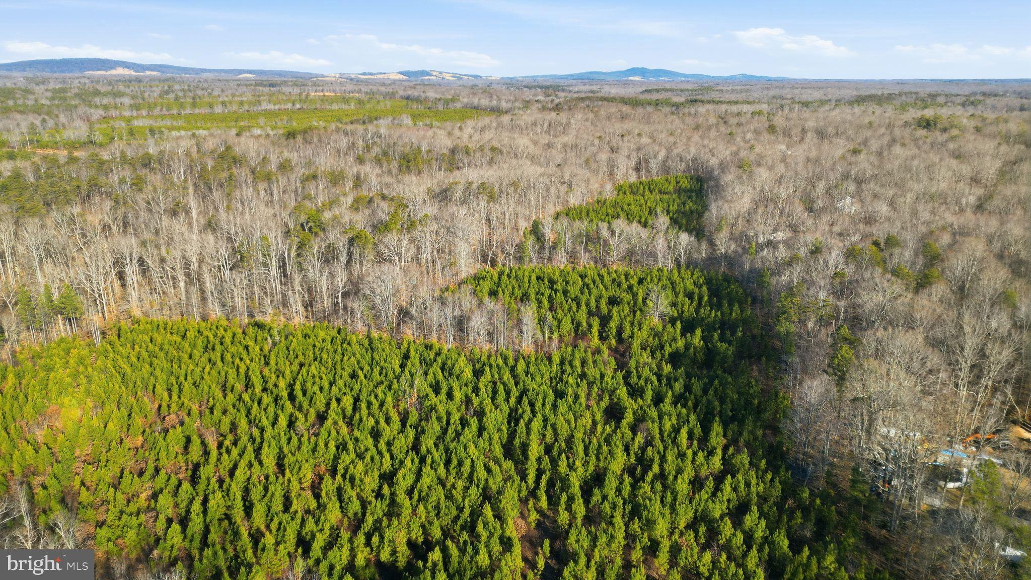 15284 Poplar Road Orange, VA 22960 - Photo 7 of 69