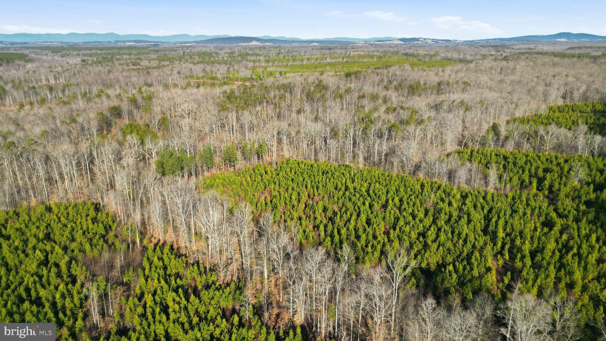 15284 Poplar Road Orange, VA 22960 - Photo 8 of 69