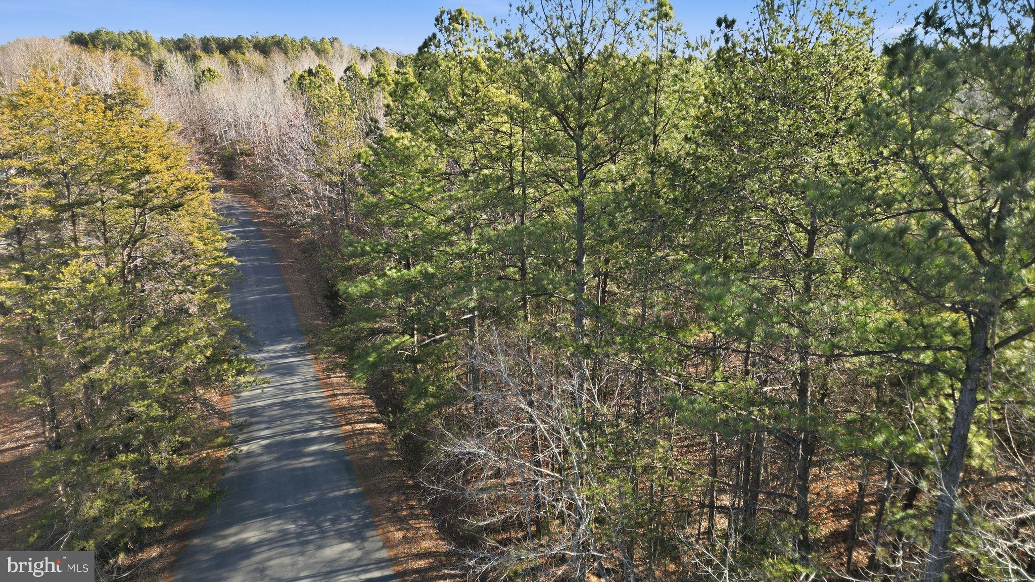 15284 Poplar Road Orange, VA 22960 - Photo 9 of 69