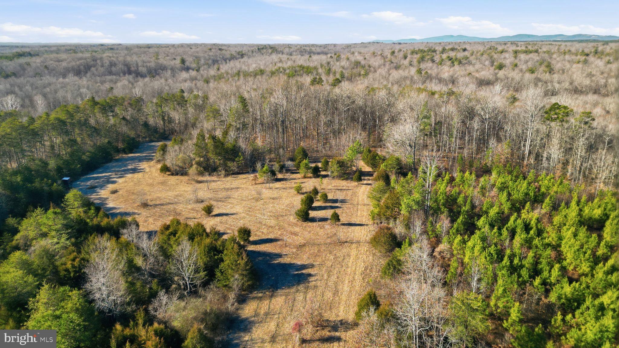 15284 Poplar Road Orange, VA 22960 - Photo 10 of 69