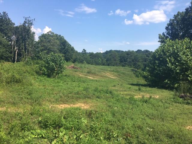 189 Bull Run Road Luttrell, TN 37779 - Photo 2 of 4 IMG_4698