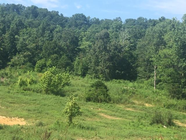 189 Bull Run Road Luttrell, TN 37779 - Photo 3 of 4 IMG_4696
