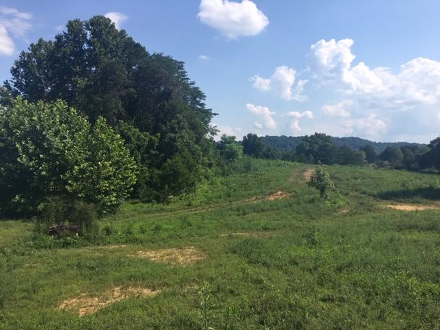 189 Bull Run Road Luttrell, TN 37779 - Photo 4 of 4 IMG_4699
