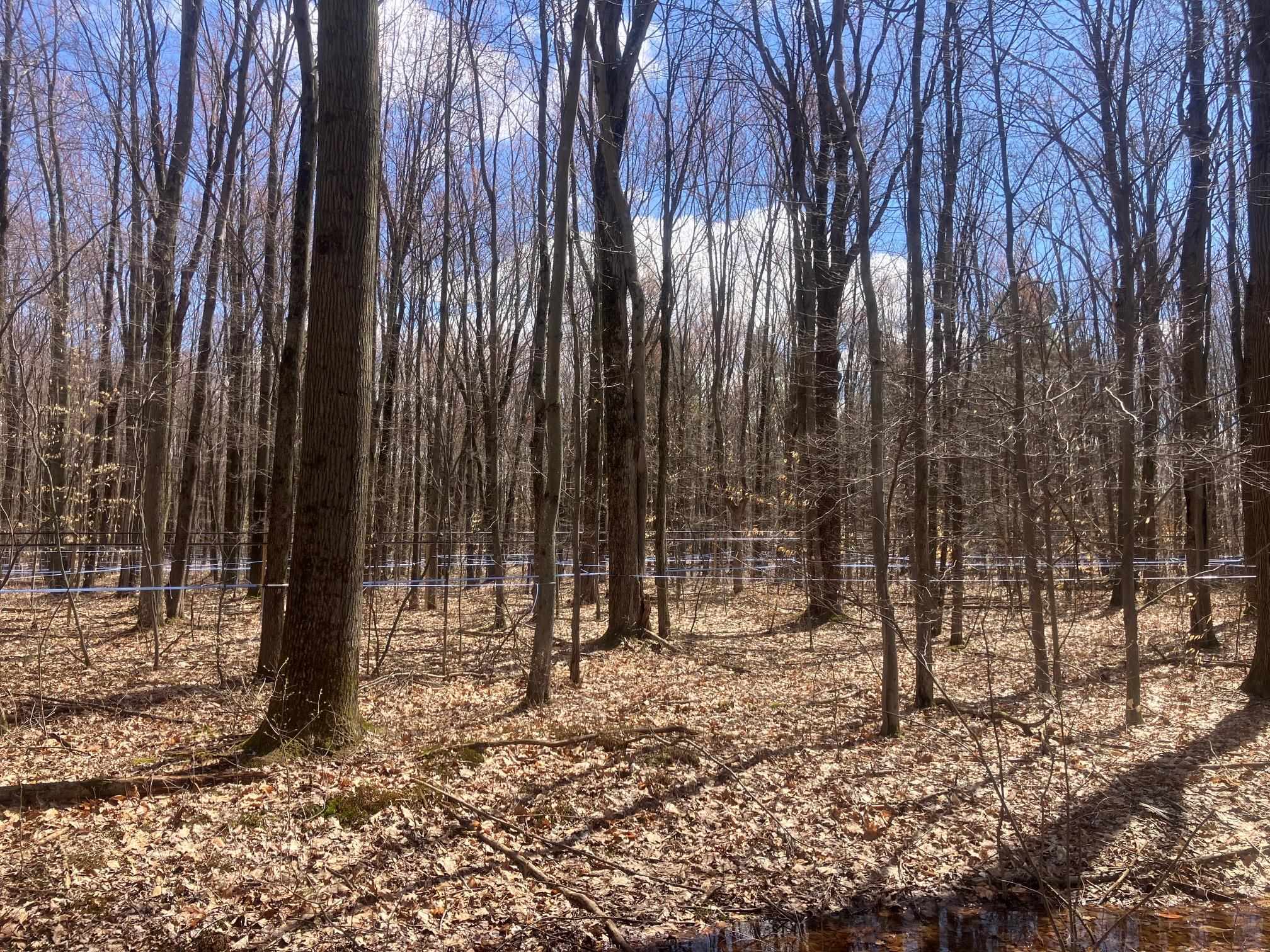74 Jedware Circle, Unit LOT 101 Swanton, VT 05488 - Photo 11 of 17