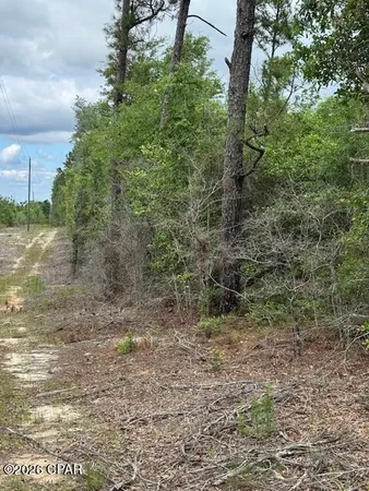 $39,900 | Tbd Pilgrim Rest Church Road, Marianna, FL 32448