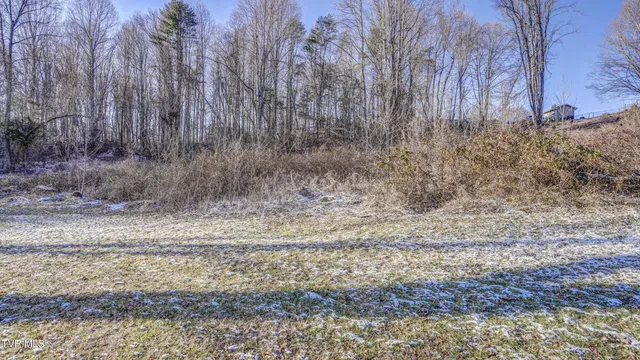 $34,995 | Tbd Briscoe Drive, Unit 36, Bristol, VA 24202