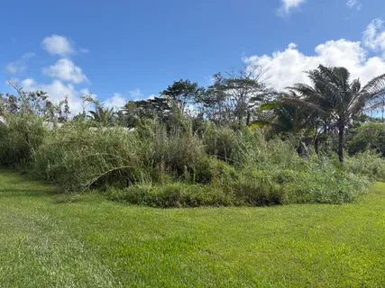 $25,000 | 335 Honu Street, Pahoa, HI 96778