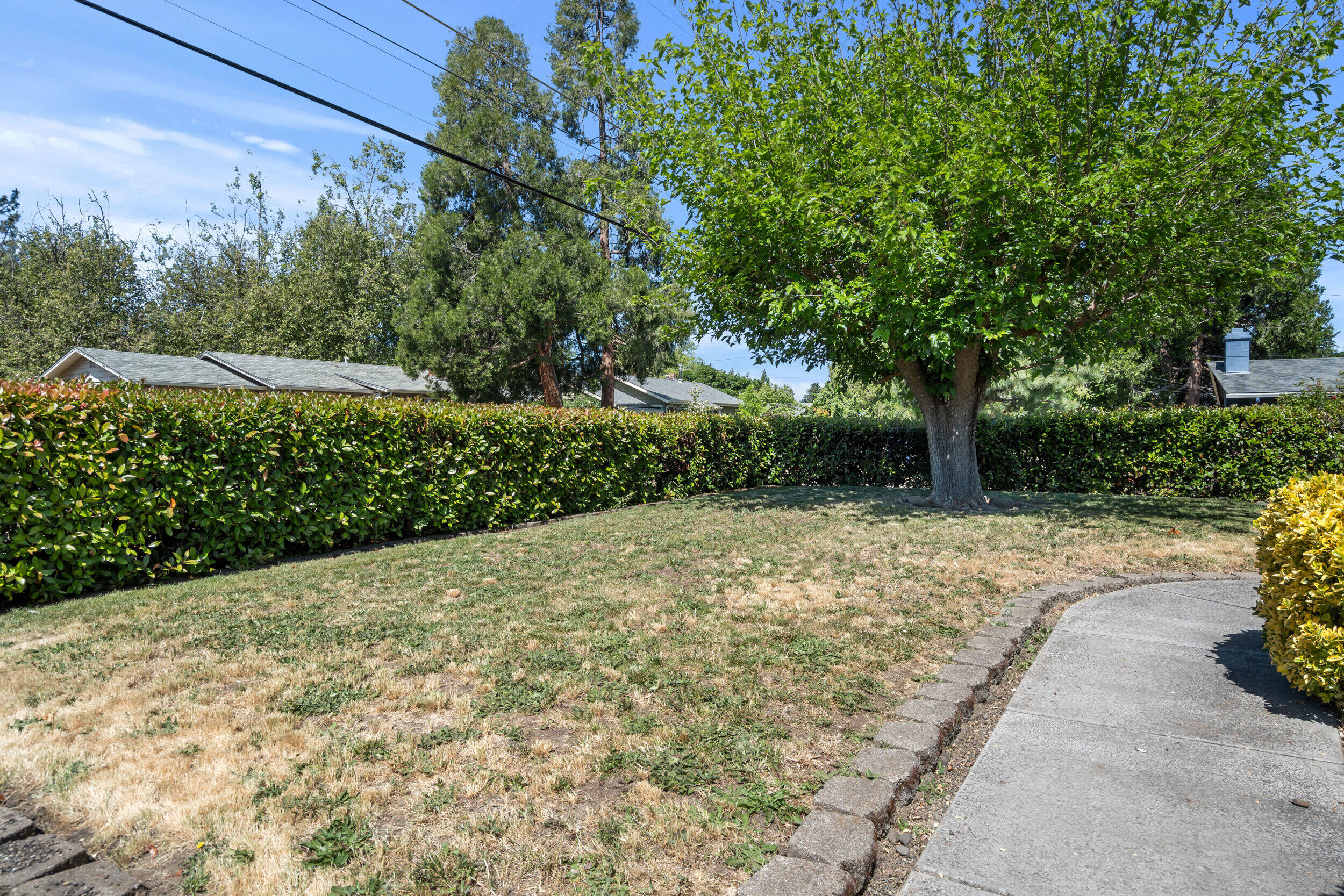 110 North 2nd Street Talent, OR 97540 - Photo 4 of 27 a view of a yard with plants and trees