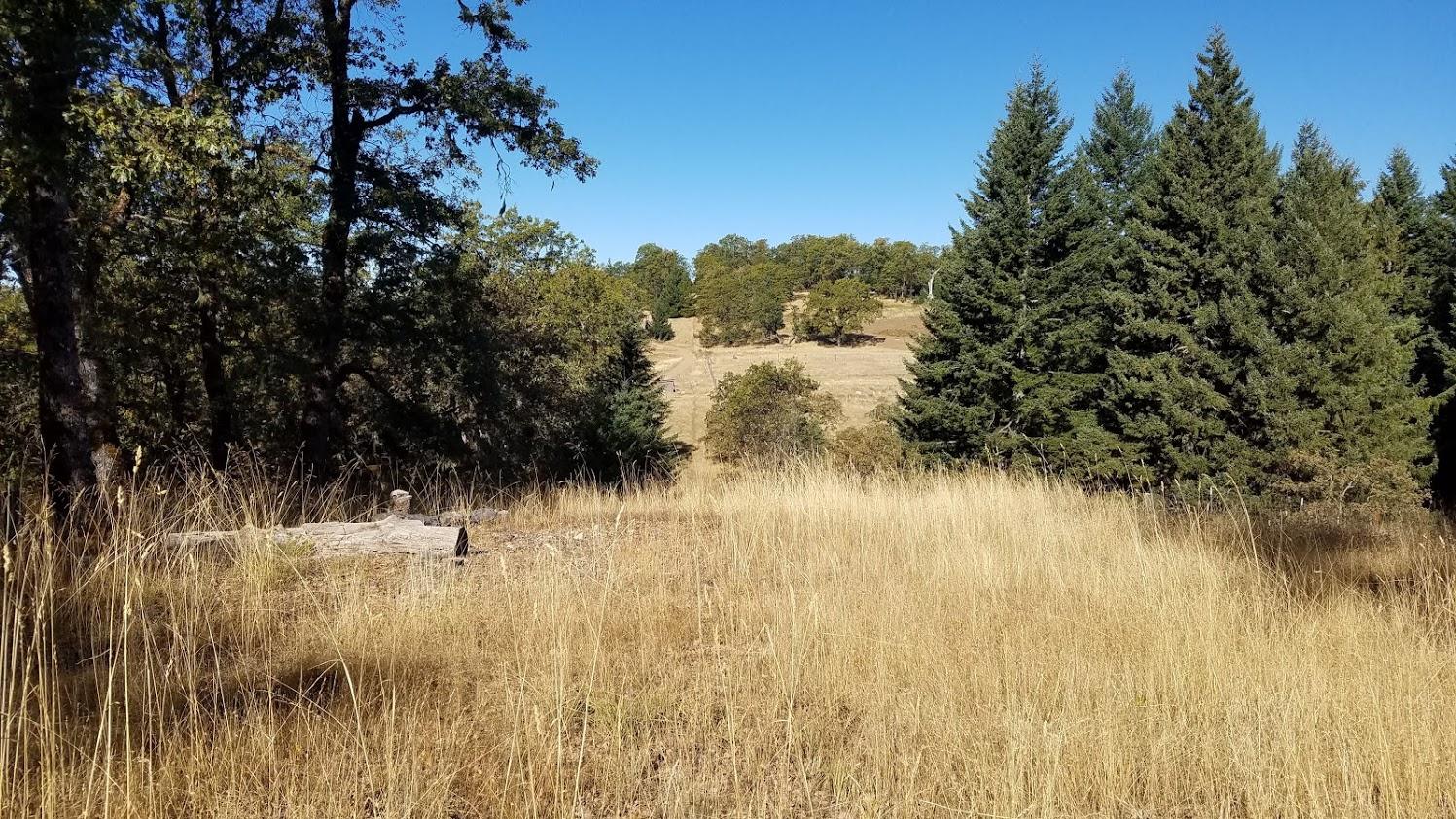 0 Rattlesnake Ridge Road Bridgeville, CA 95526 - Photo 4 of 21