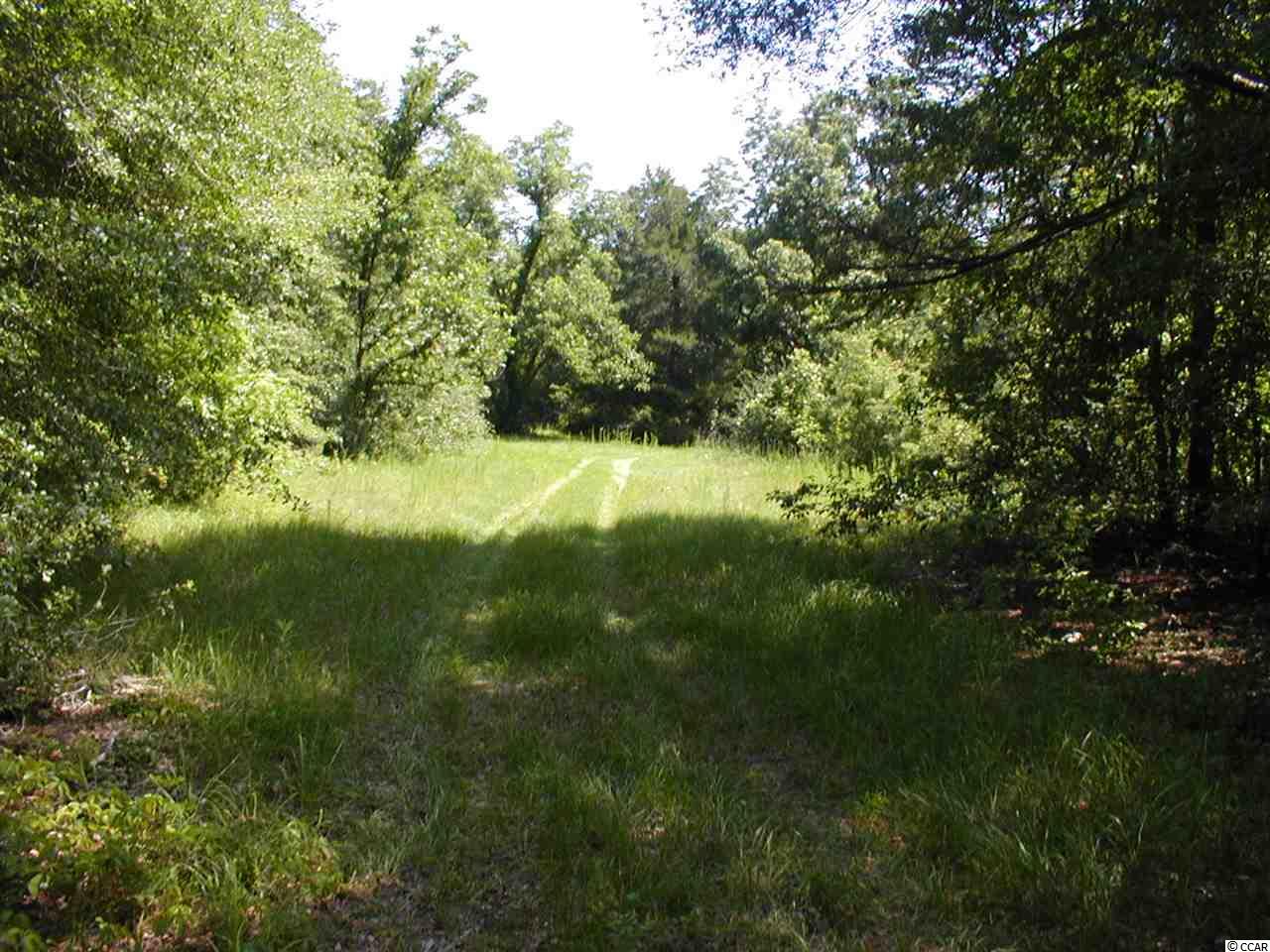 Sims Reach Road Kingstree, SC 29556 - Photo 3 of 6