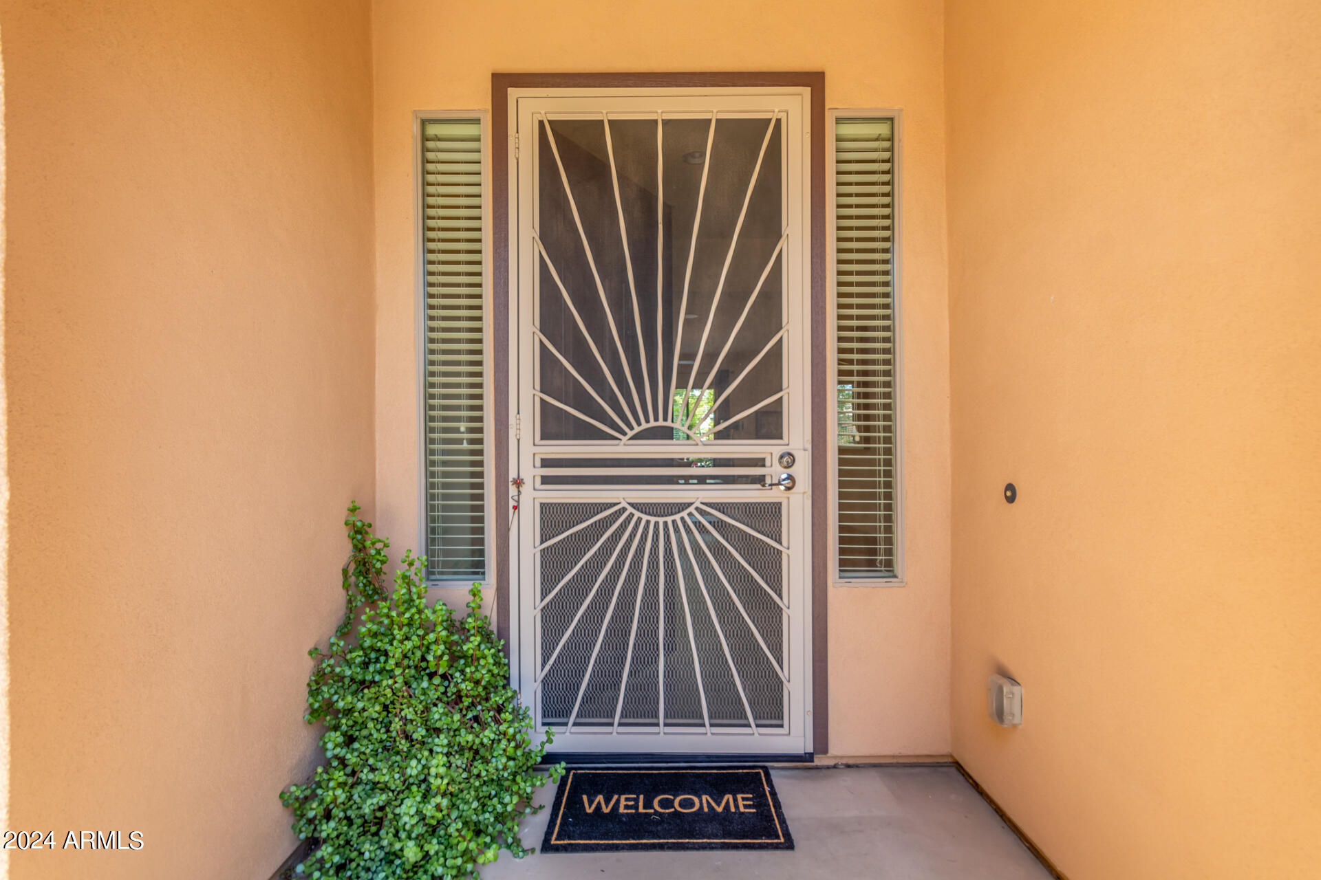 17858 West Verdin Road Goodyear, AZ 85338 - Photo 7 of 78 Custom Front Door Screen
