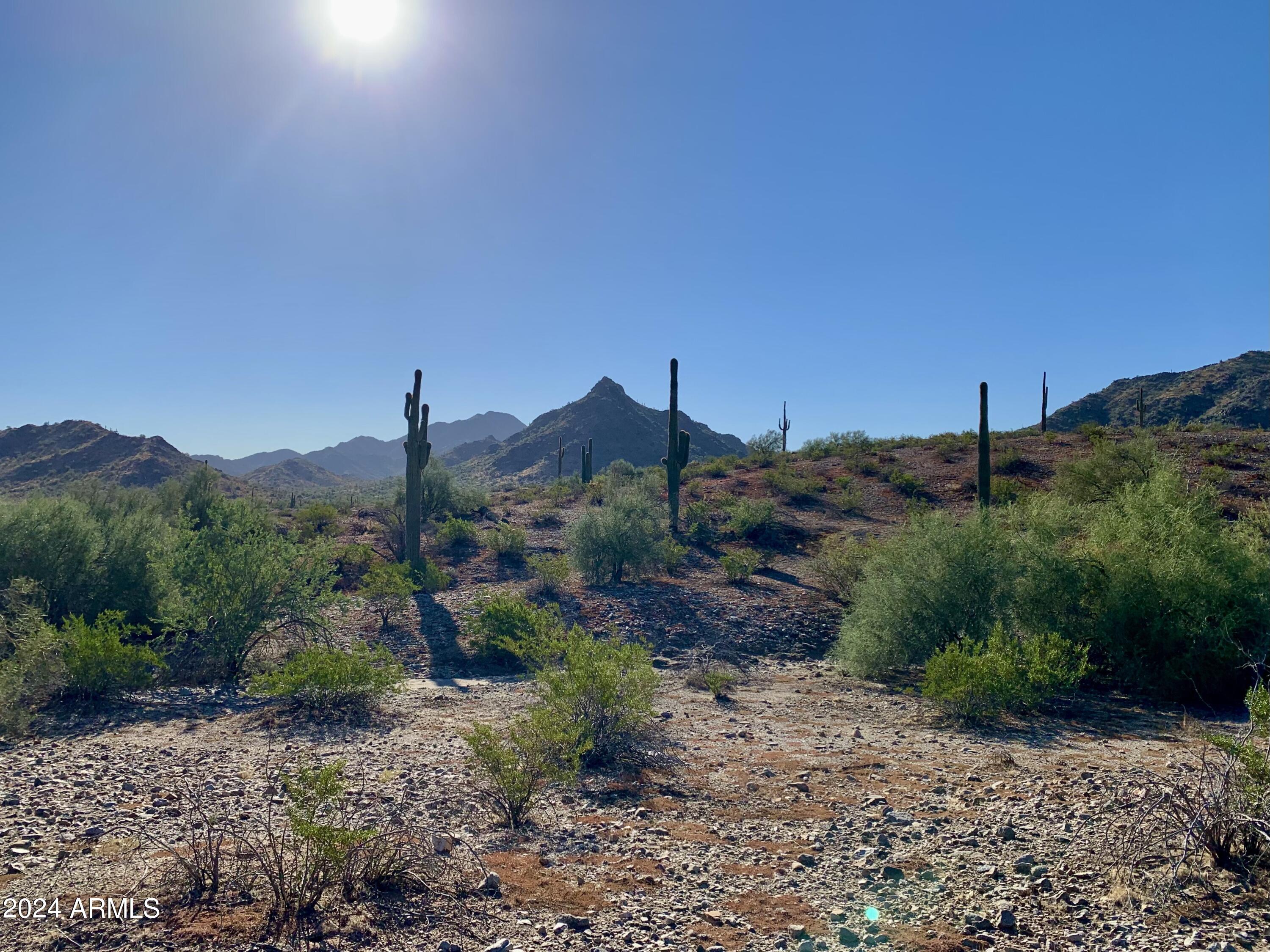 17858 West Verdin Road Goodyear, AZ 85338 - Photo 76 of 78 a view of a house with a yard and mountain