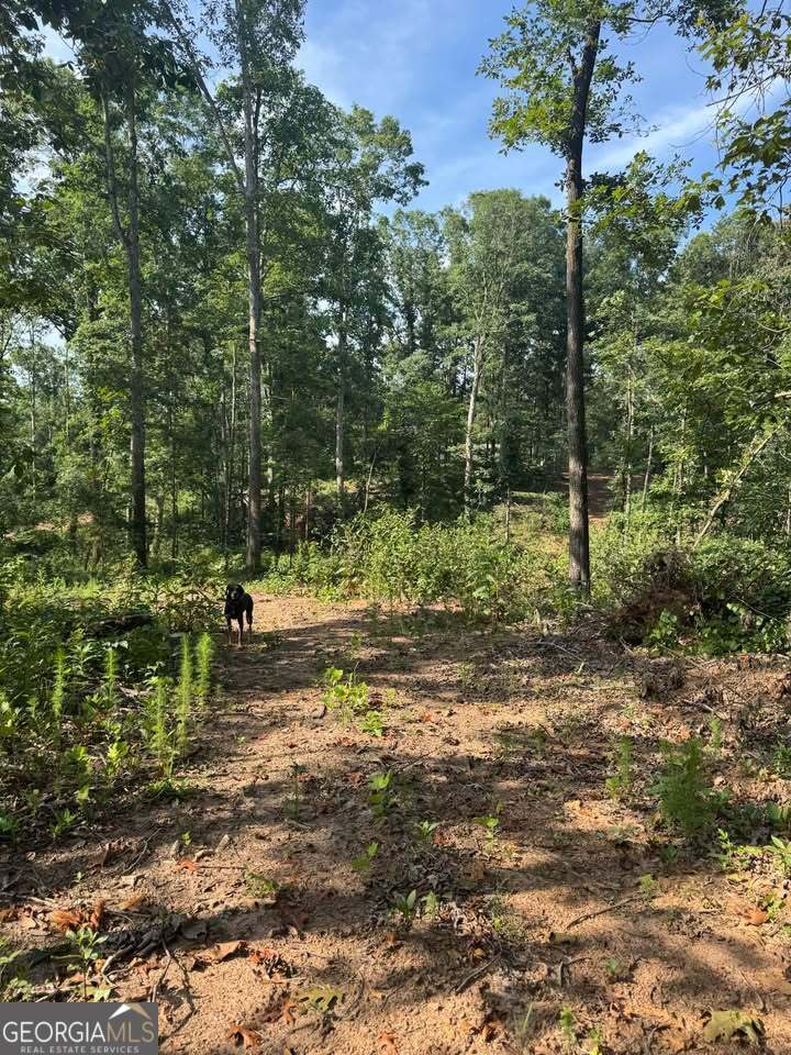 301 Norton Road Hartwell, GA 30643 - Photo 40 of 48